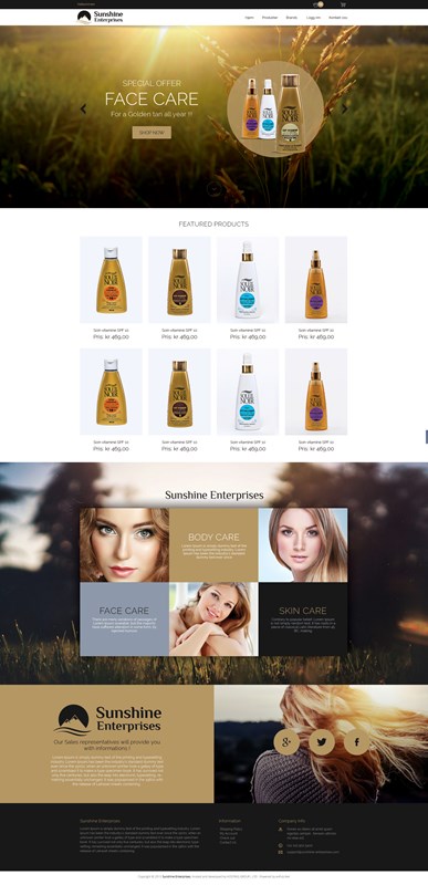 Web Design-Portfolio - Sunshine Enterprises AS